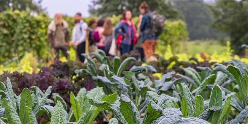 PER IL SETTORE AGROALIMENTARE