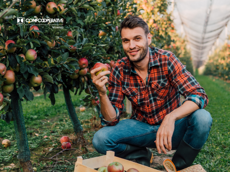 Bandi CSR 2025: La Regione Veneto Stanzia Oltre 120 Milioni per l'Agricoltura